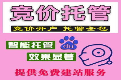 百度竞价公司案例分享：打造高效广告投放方案